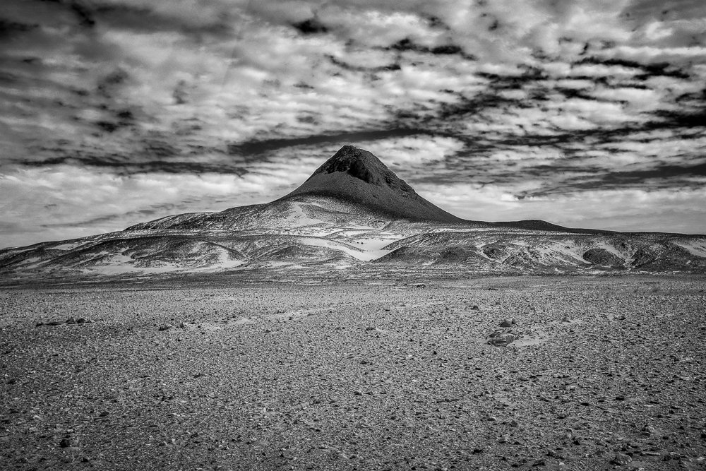 a gold rush in the desert Photo