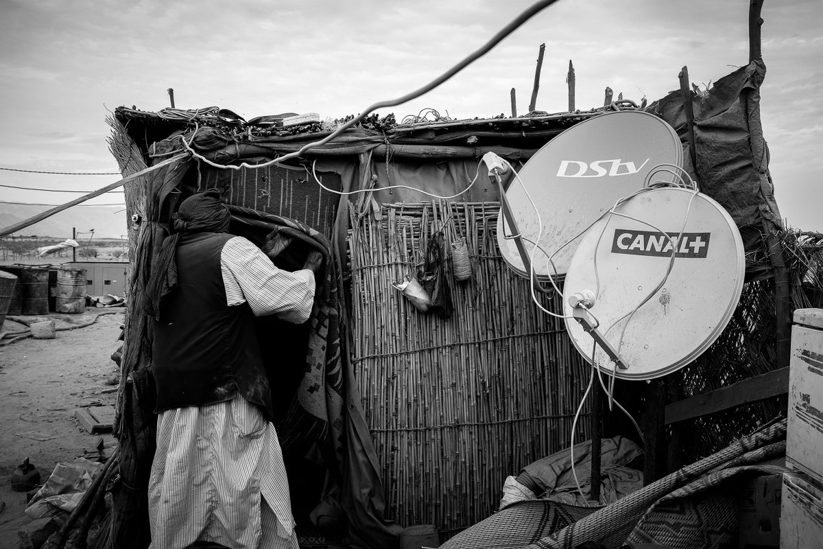 a gold rush in the desert Photo