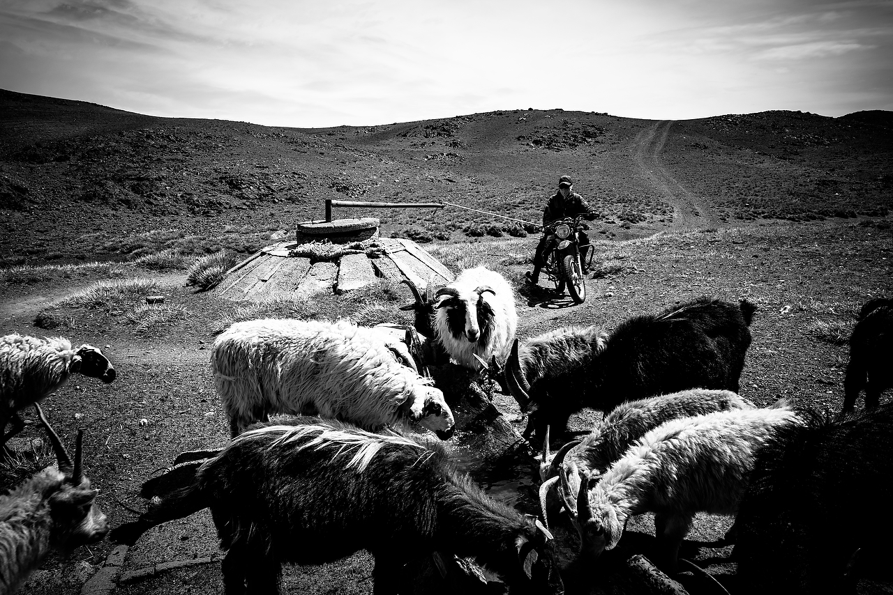 mongolia Photo
